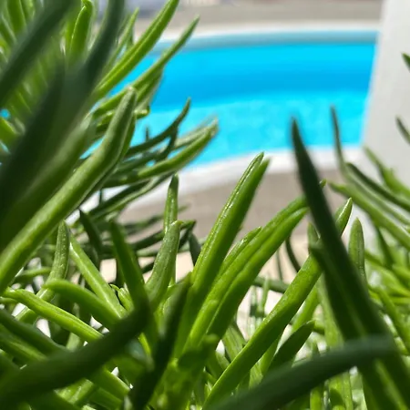 Solis Akrotiri Villa فيلة *